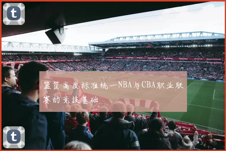 篮筐高度标准统一NBA与CBA职业联赛的竞技基础