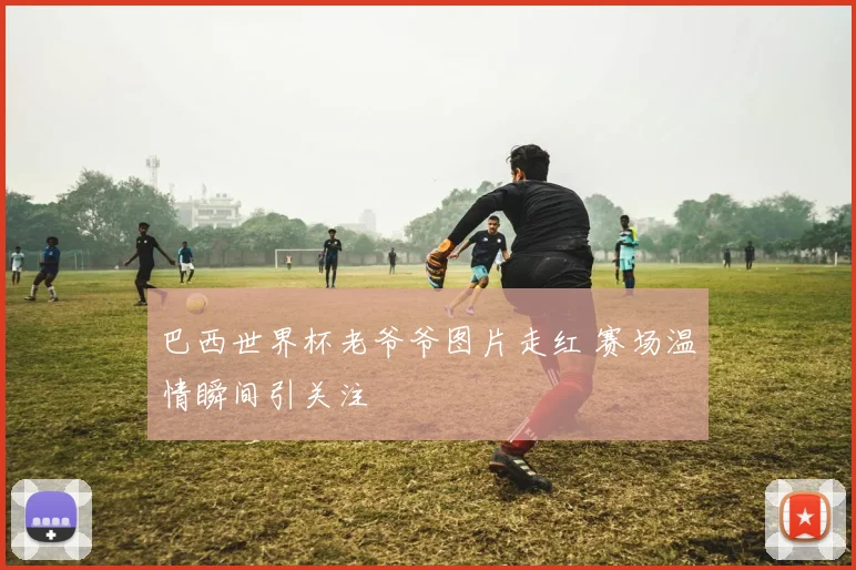 巴西世界杯老爷爷图片走红 赛场温情瞬间引关注