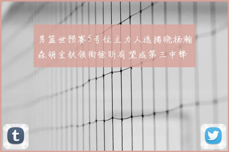男篮世预赛5号位主力人选揭晓杨瀚森胡金秋领衔徐昕有望成第三中锋