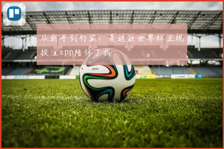 从新手到行家,是这款世界杯正规投注app陪伴了我