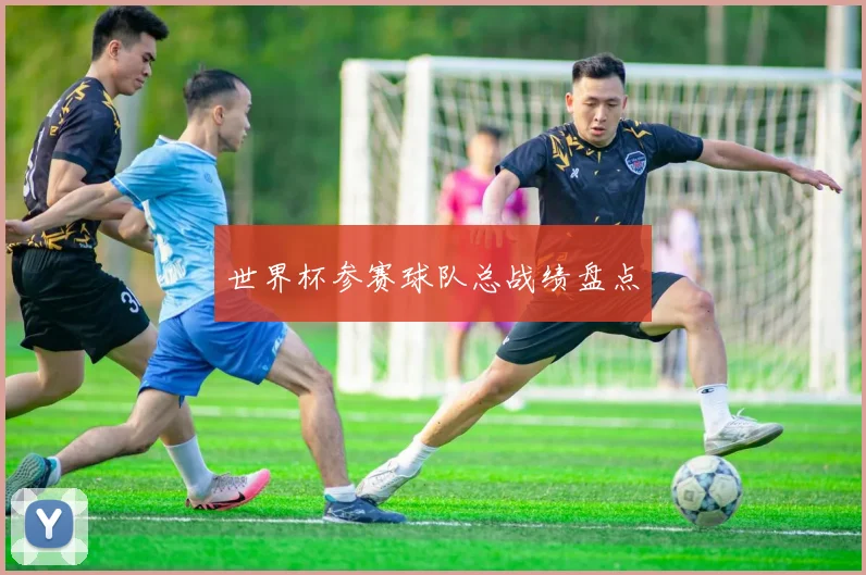 世界杯参赛球队总战绩盘点