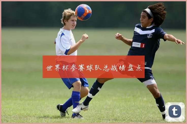 世界杯参赛球队总战绩盘点