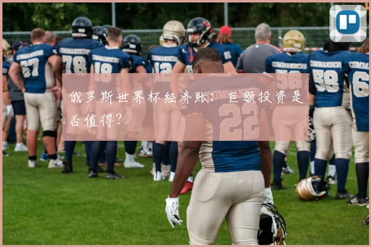 俄罗斯世界杯经济账:巨额投资是否值得?