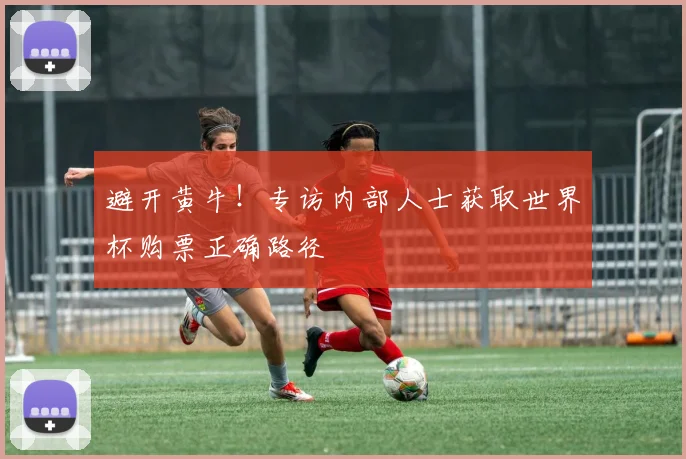 避开黄牛!专访内部人士获取世界杯购票正确路径