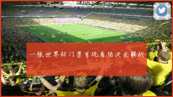 一张世界杯门票可观看场次全解析