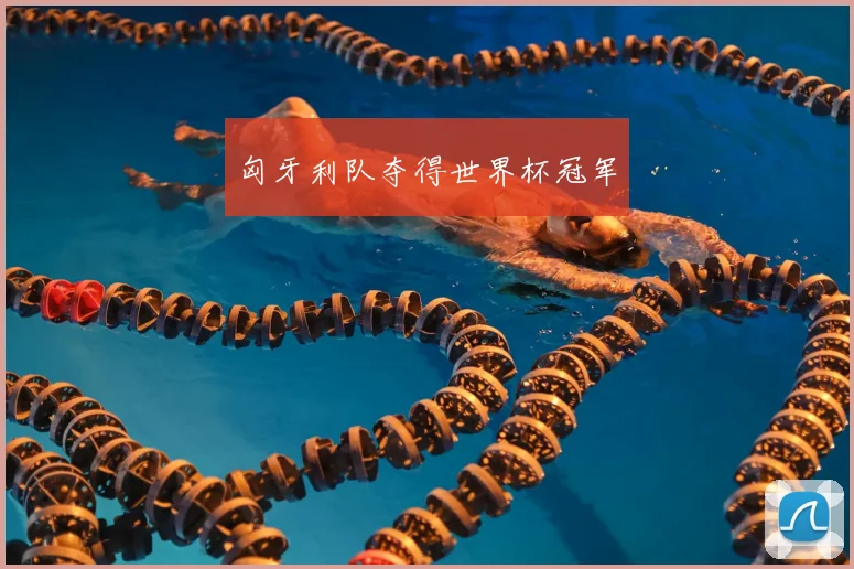 匈牙利队夺得世界杯冠军