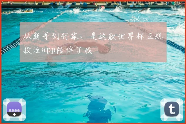从新手到行家，是这款世界杯正规投注app陪伴了我