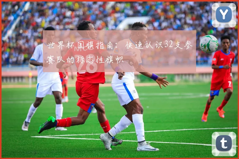 世界杯国旗指南：快速认识32支参赛队的标志性旗帜