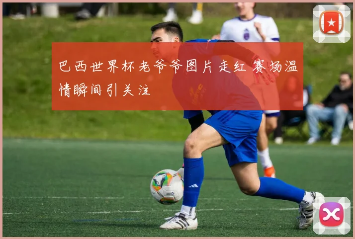 巴西世界杯老爷爷图片走红 赛场温情瞬间引关注
