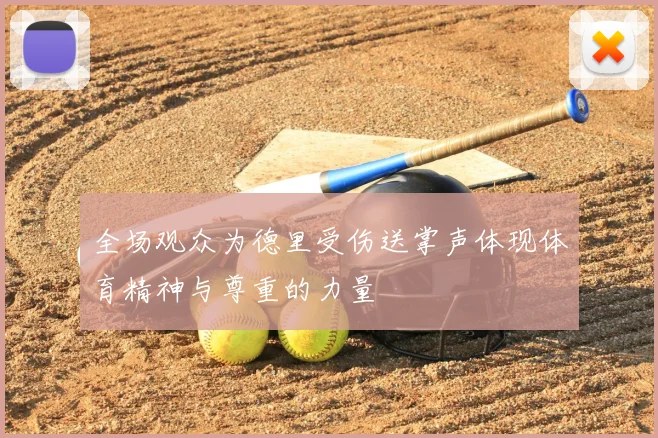 全场观众为德里受伤送掌声体现体育精神与尊重的力量