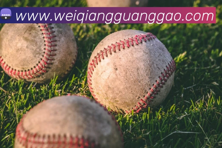 线上买球平台生态图